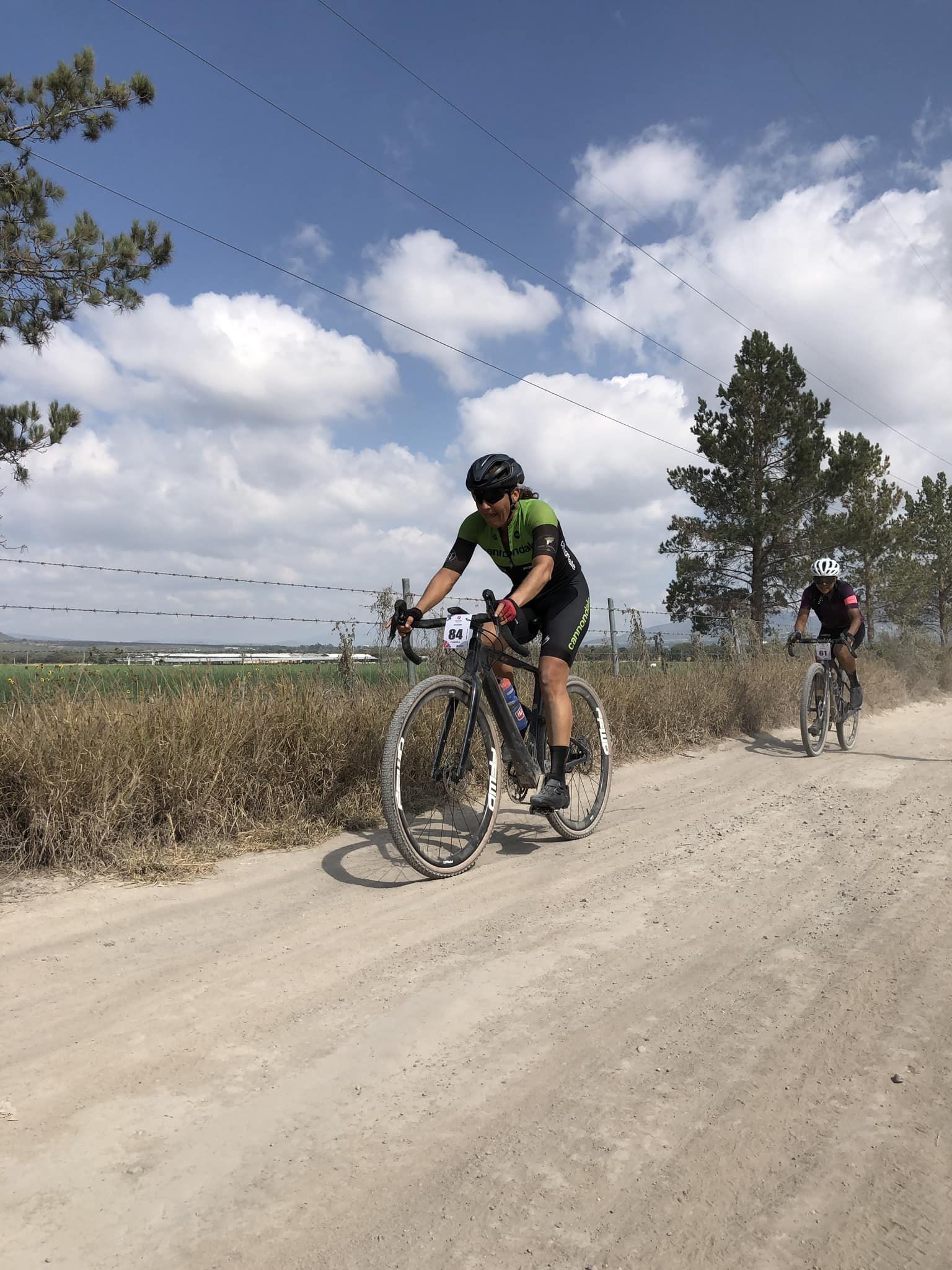 Dos ciclistas en un camino de tierra entre cercas y pinos
